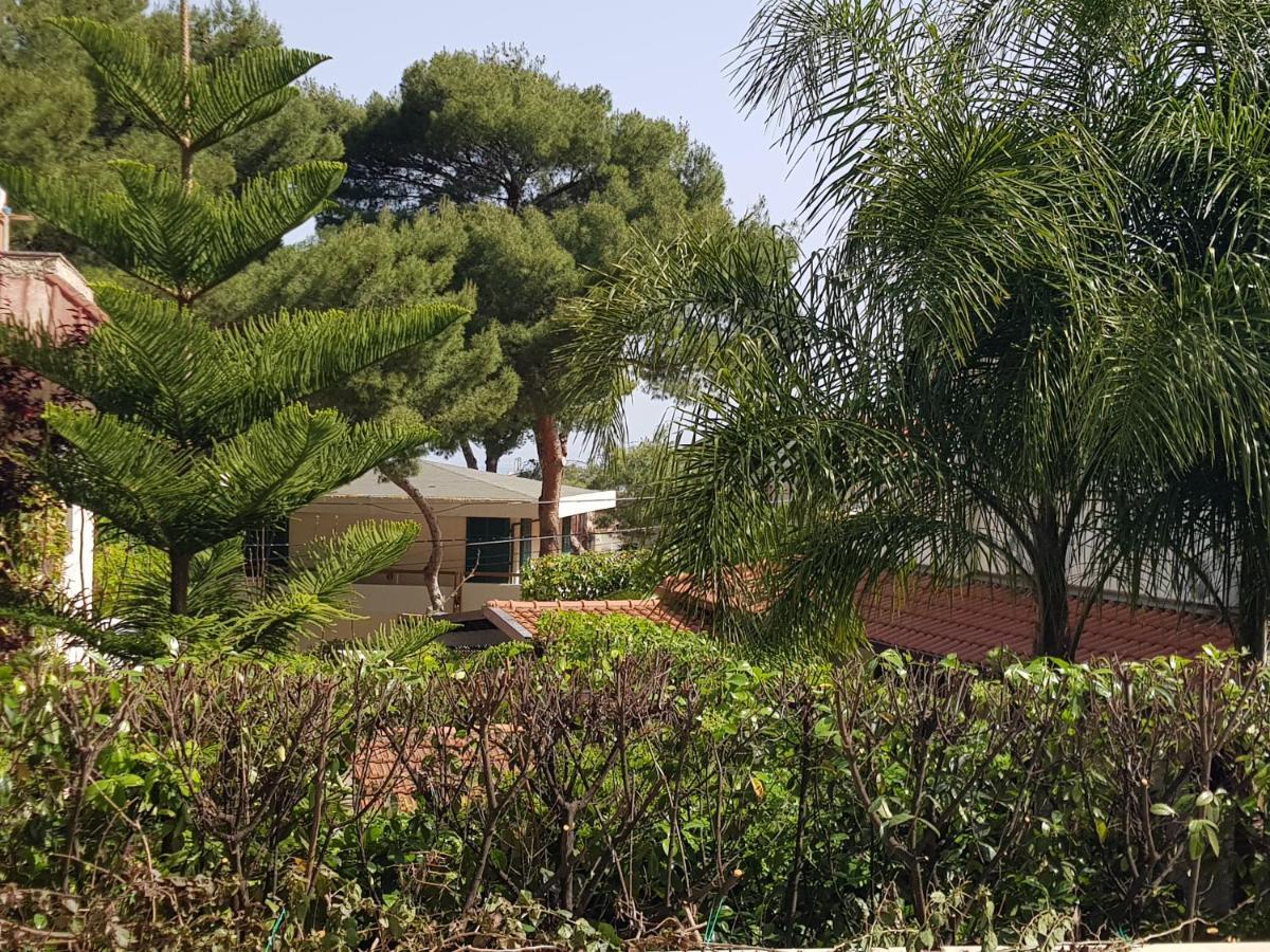 Mondello Suites Flh - Gorgonia 蒙德罗 外观 照片